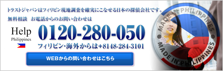 フィリピン会社関係人の調査